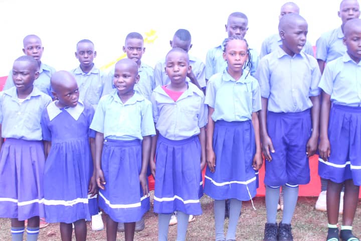 Mobirise Website Builder